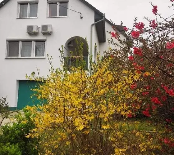 Labdarozsa Apartmanhouse